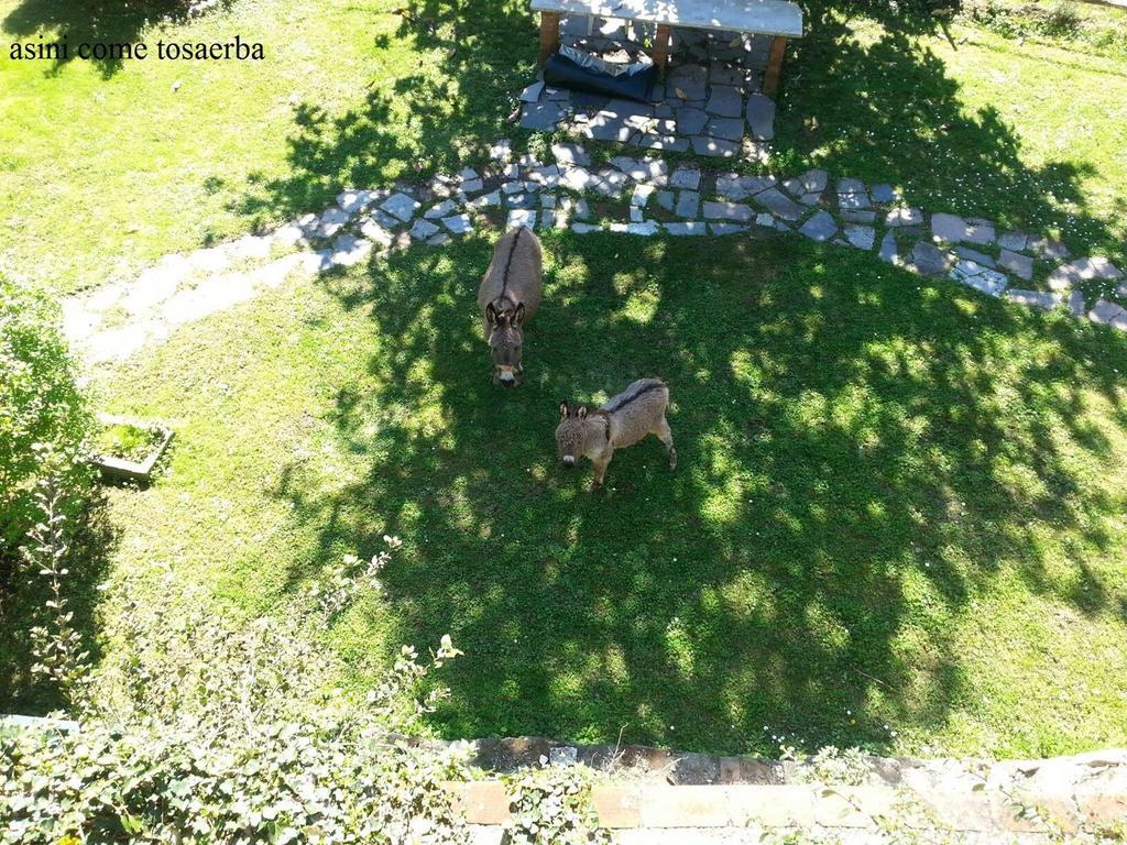 Vila Il Borgo Della Colomba Fosdinovo Exteriér fotografie